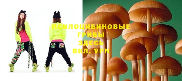 бошки Армянск