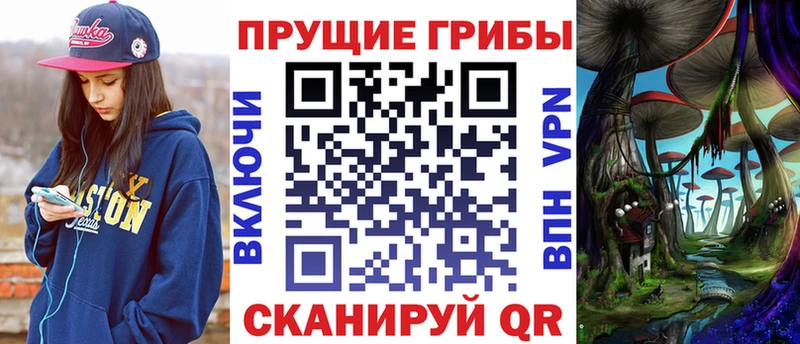 Галлюциногенные грибы Psilocybe  цена   Новая Ляля 