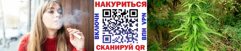 Конопля индика  где купить наркоту  Новая Ляля 